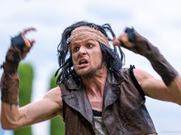 Die Bremer Stadtmusikanten